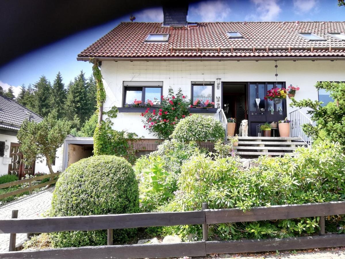 Ferienwohnung Anemone Mit Bergblick Braunlage Exterior foto